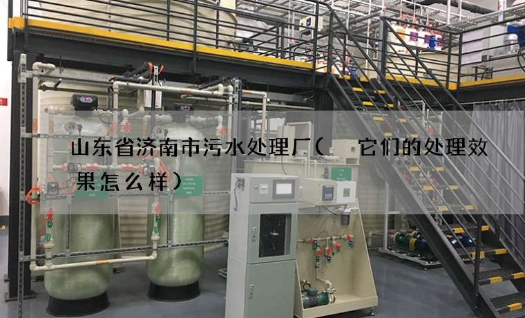 山东省济南市污水处理厂( 它们的处理效果怎么样)